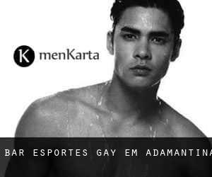 Bar Esportes Gay em Adamantina