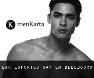 Bar Esportes Gay em Bebedouro