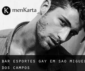 Bar Esportes Gay em São Miguel dos Campos