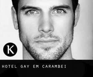 Hotel Gay em Carambeí