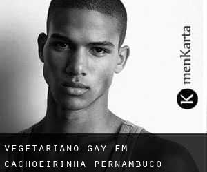 vegetariano Gay em Cachoeirinha (Pernambuco)