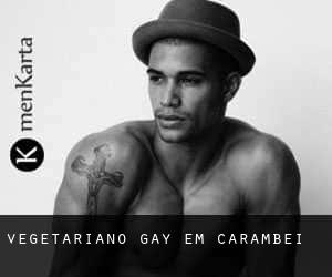 vegetariano Gay em Carambeí